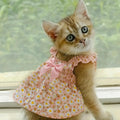 Chic Floral Pet Dress