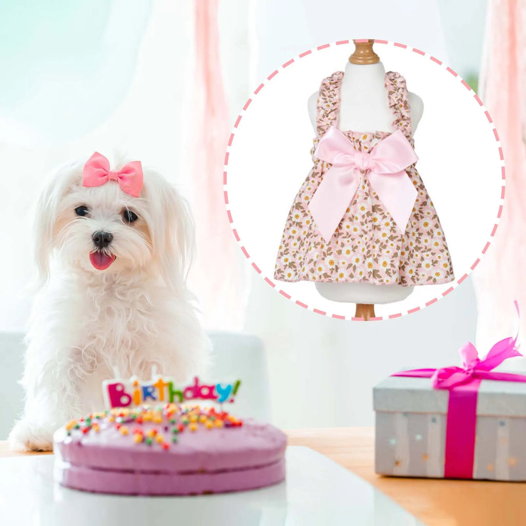 Chic Floral Pet Dress