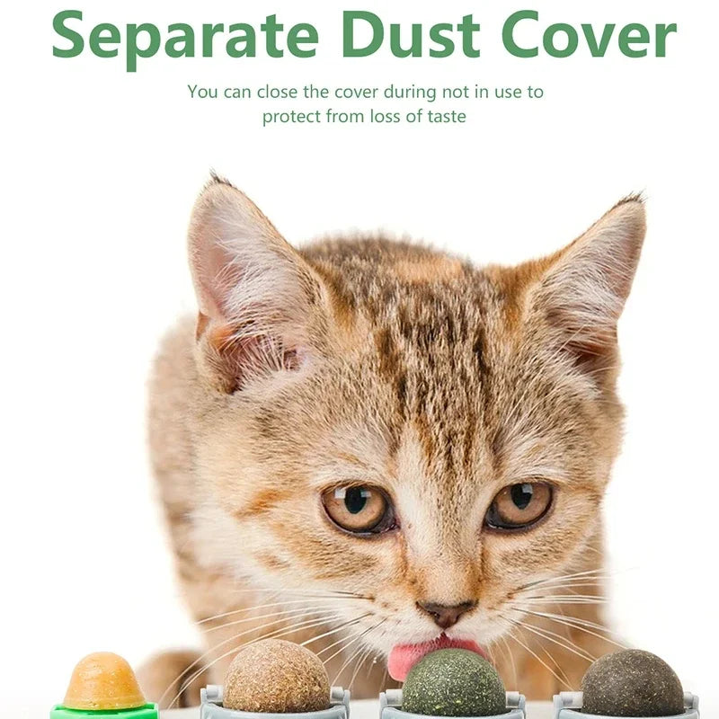 Catnip Silver Vine Fun Ball