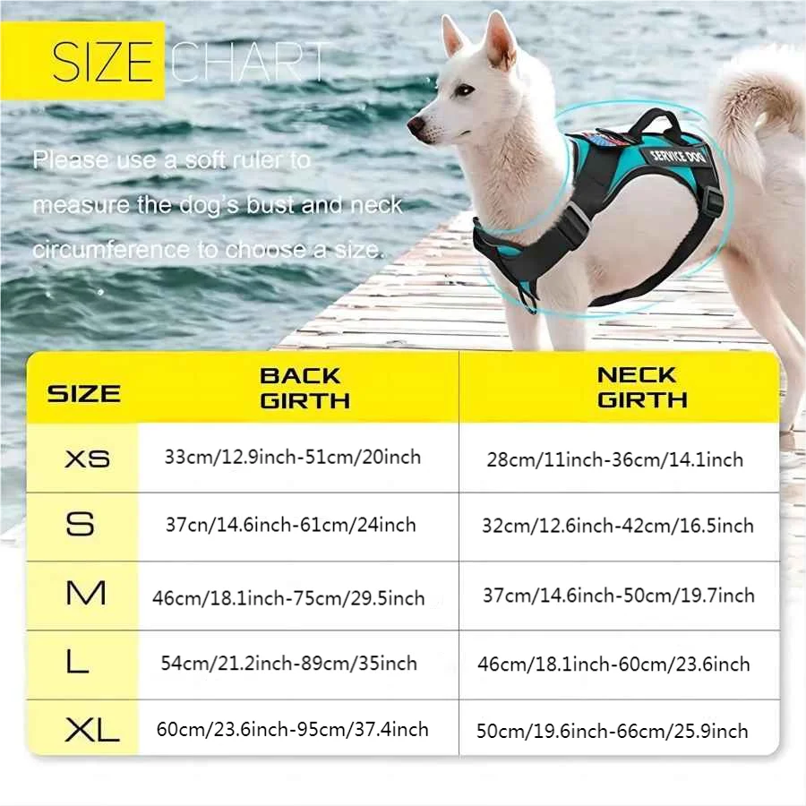 Easy Walk Dog Harness Set