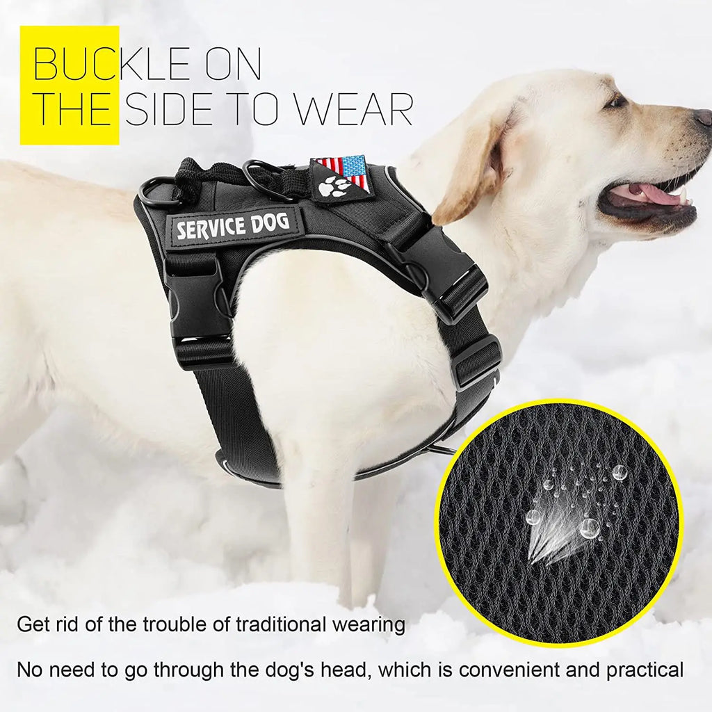 Easy Walk Dog Harness Set
