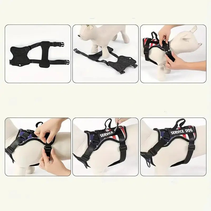 Easy Walk Dog Harness Set