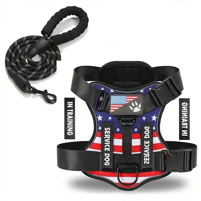 Easy Walk Dog Harness Set