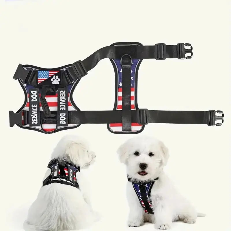 Easy Walk Dog Harness Set