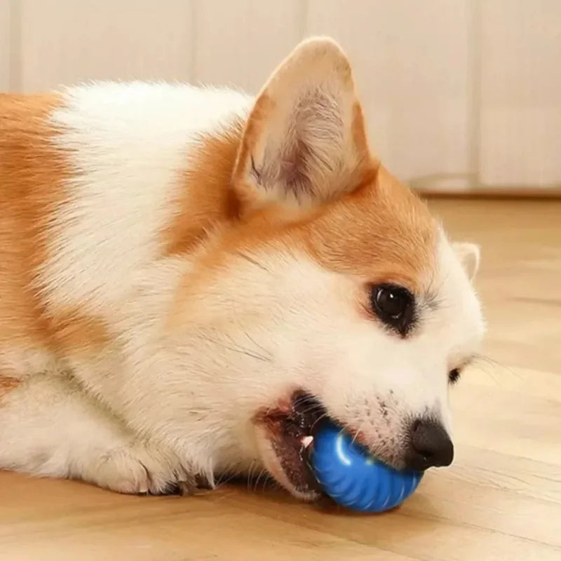 Smart Bouncing Dog Toy Ball