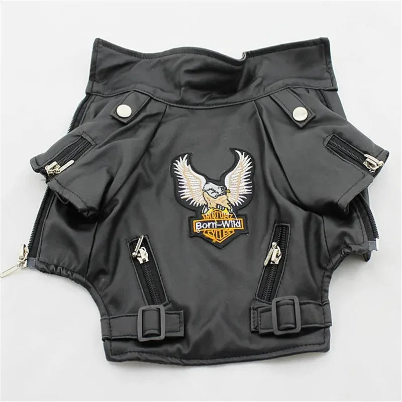 Chic Eagle Dog Jacket