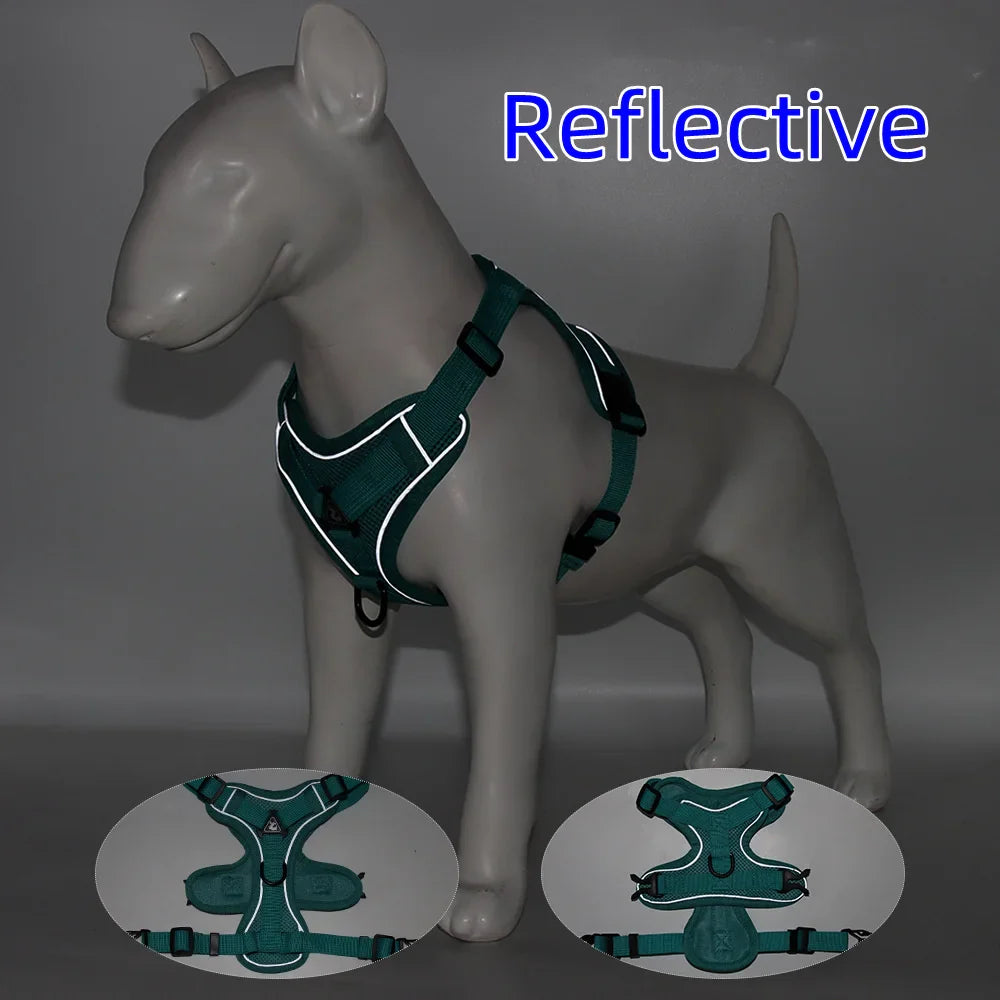 Chic Harness & Leash Duo