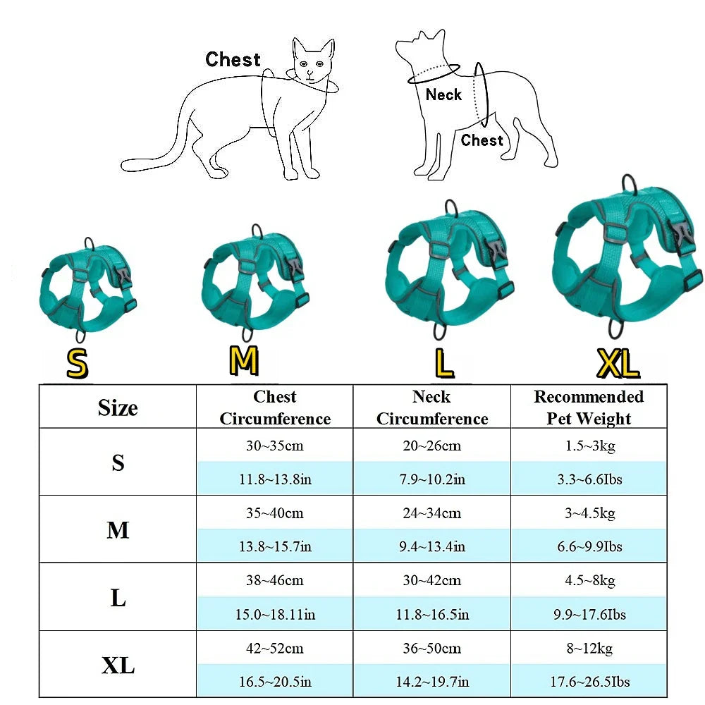 Chic Harness & Leash Duo