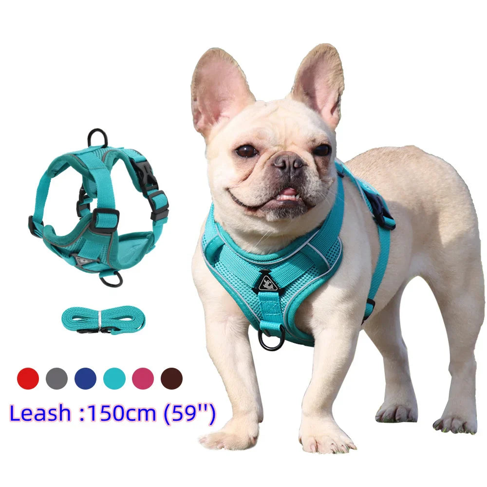 Chic Harness & Leash Duo