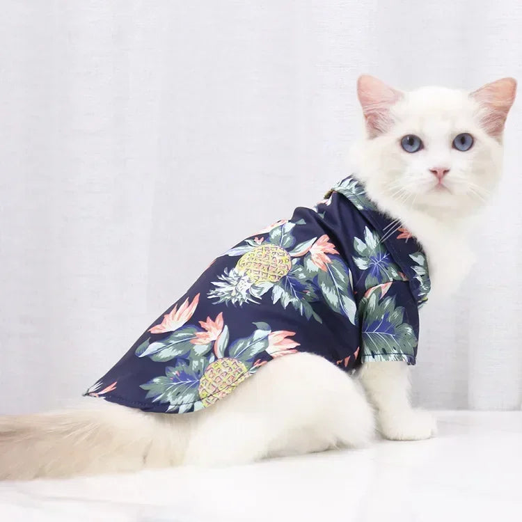 Tropical Paws Beachwear