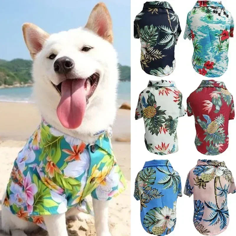 Tropical Paws Beachwear