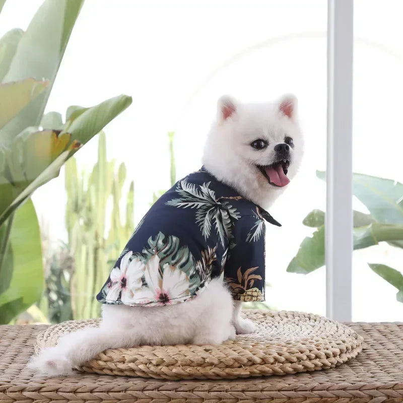 Tropical Paws Beachwear