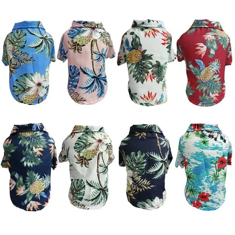 Tropical Paws Beachwear