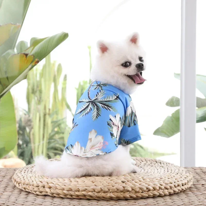 Tropical Paws Beachwear