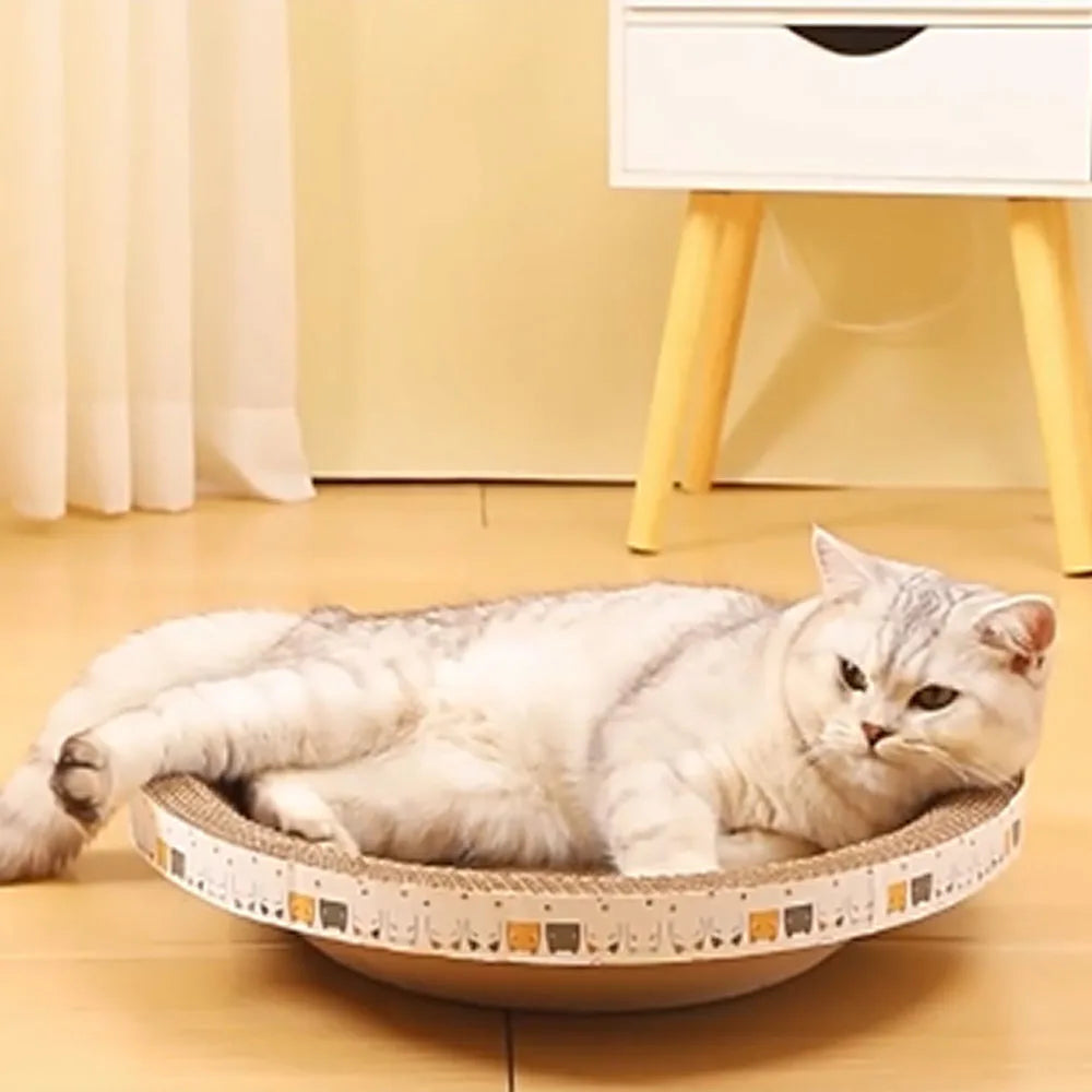 Cozy Cat Oasis Scratcher