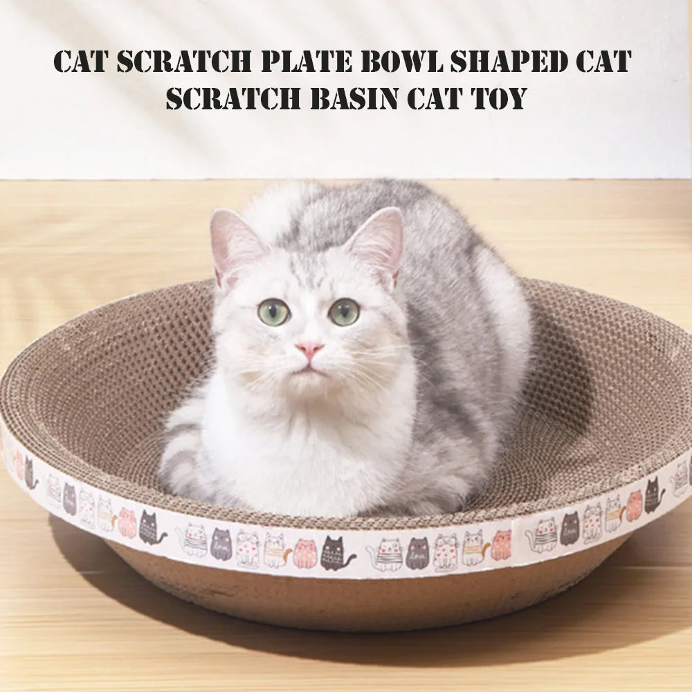 Cozy Cat Oasis Scratcher