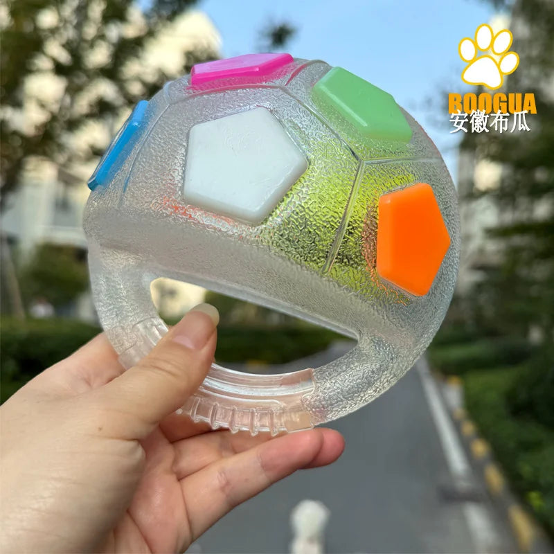 Football Fun Dog Toy