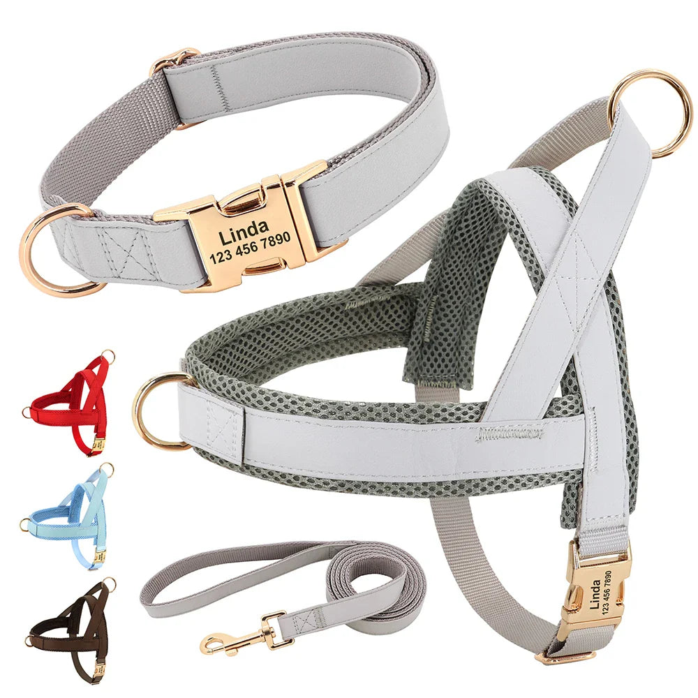 Custom Leather Pet Harness Set
