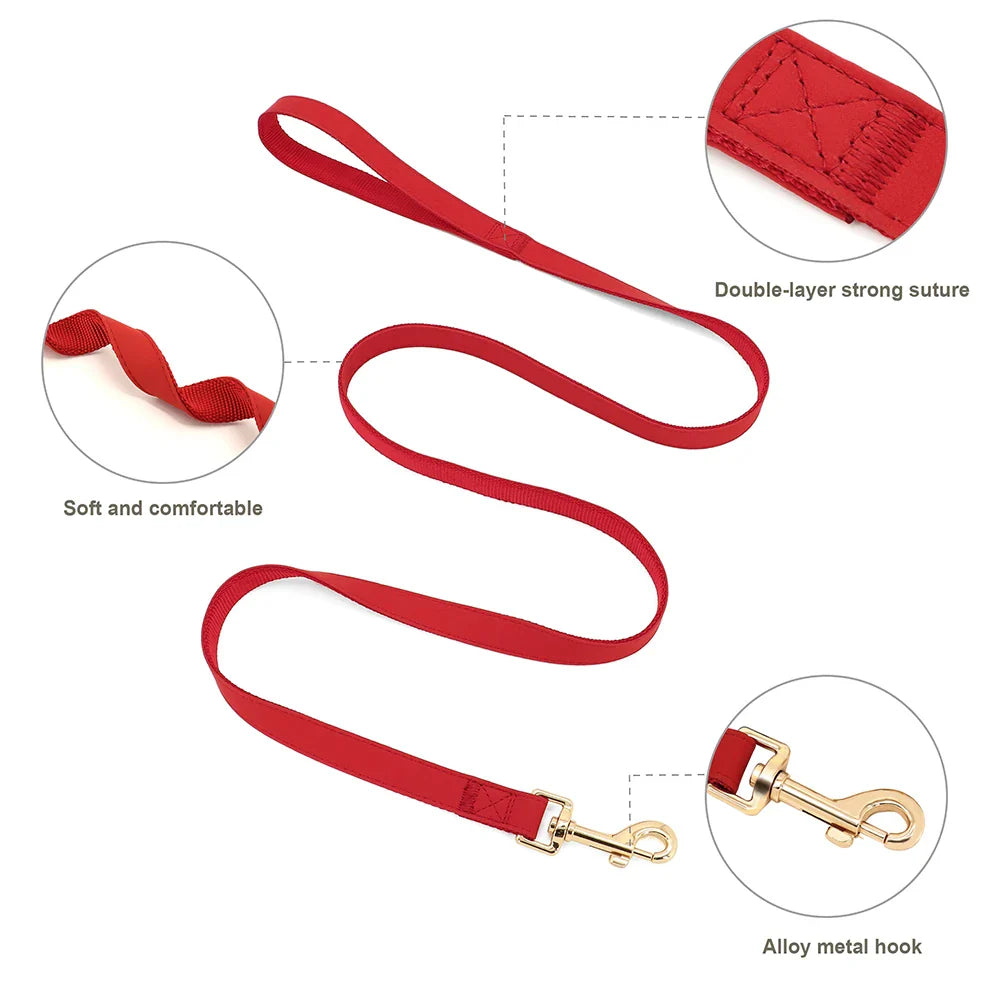 Custom Leather Pet Harness Set