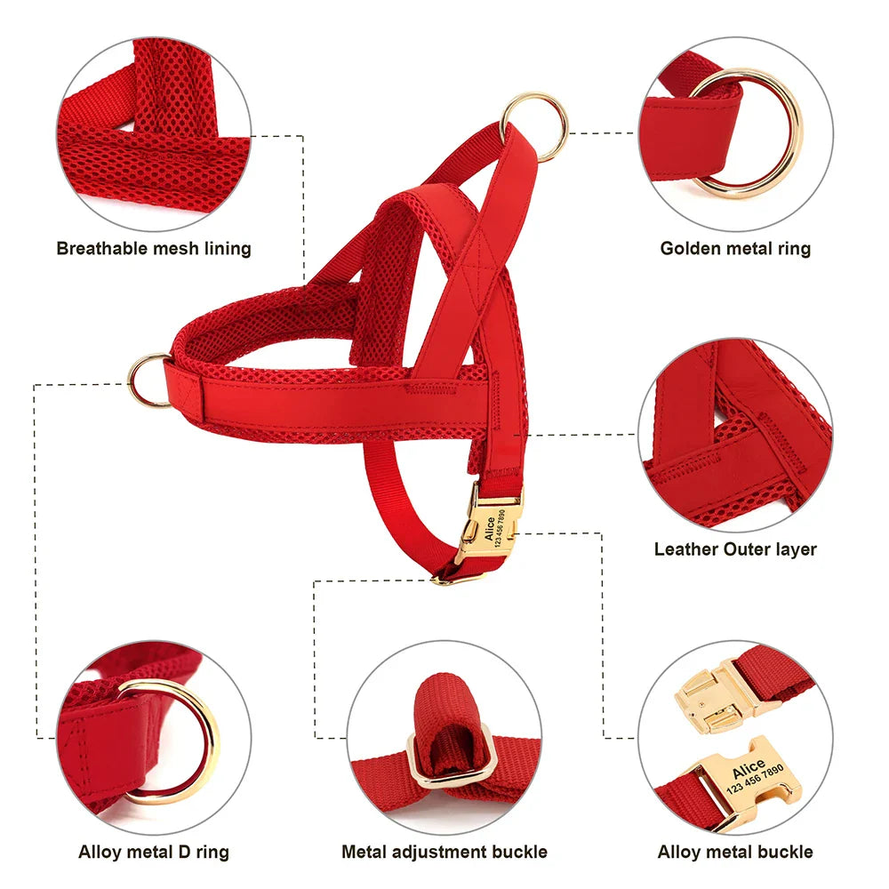 Custom Leather Pet Harness Set