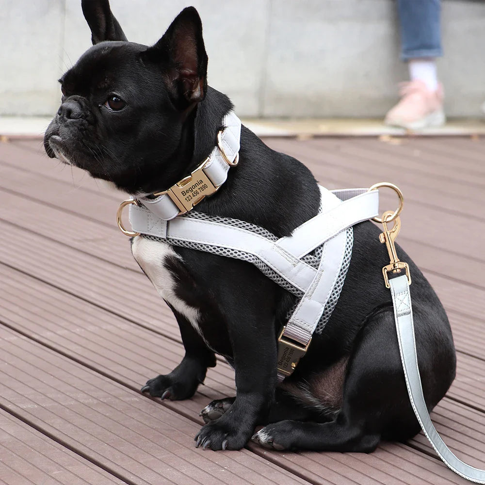 Custom Leather Pet Harness Set