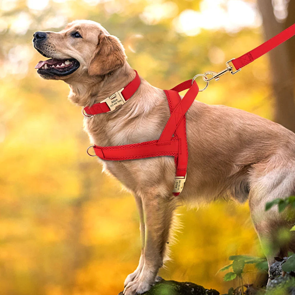 Custom Leather Pet Harness Set