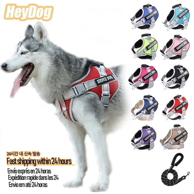 Comfortable No-Pull Dog Harness