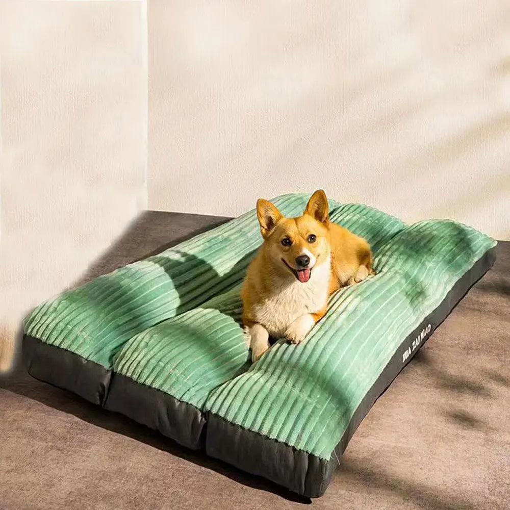 Cozy Paws Deluxe Dog Bed