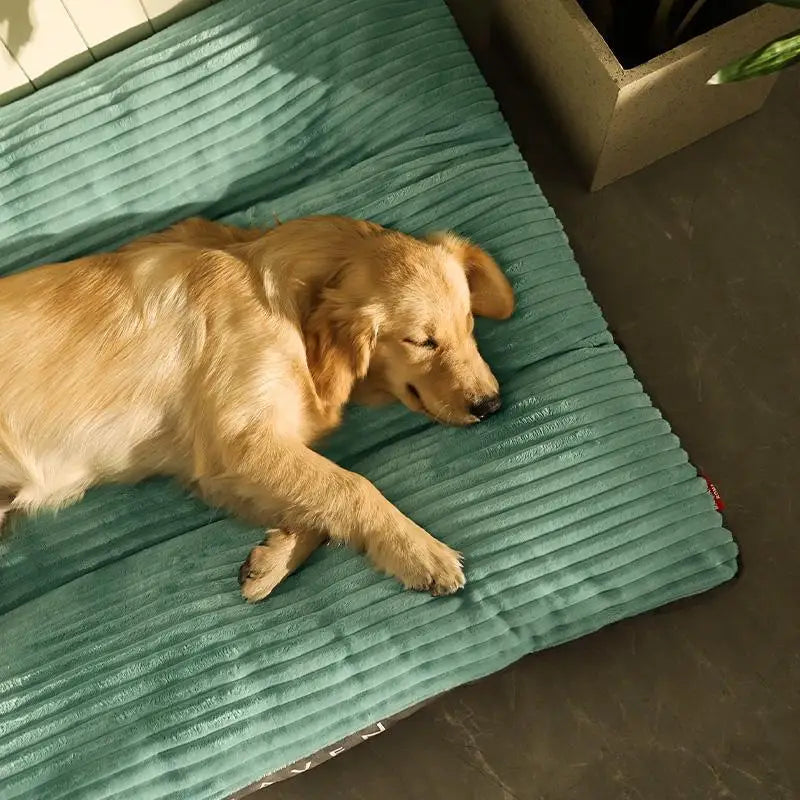 Cozy Paws Deluxe Dog Bed